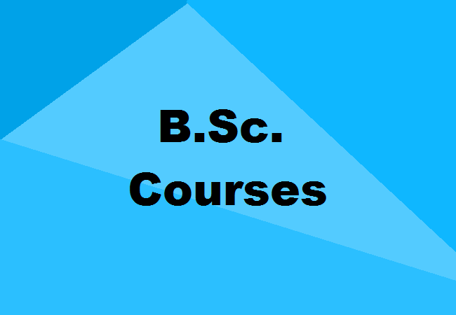 BSc-Courses